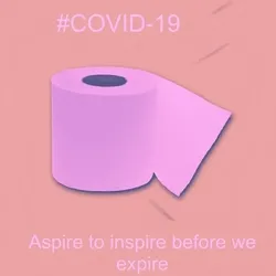 Toilet paper collection - 3/10