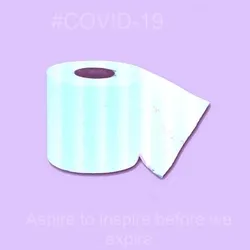 Toilet paper collection - 10/10