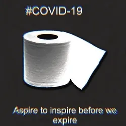 Toilet paper collection - 9/10