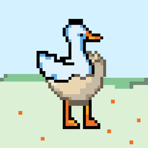 Pet Swan