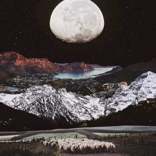 Lift Me Up To The Stars We Are Going Home, 2019