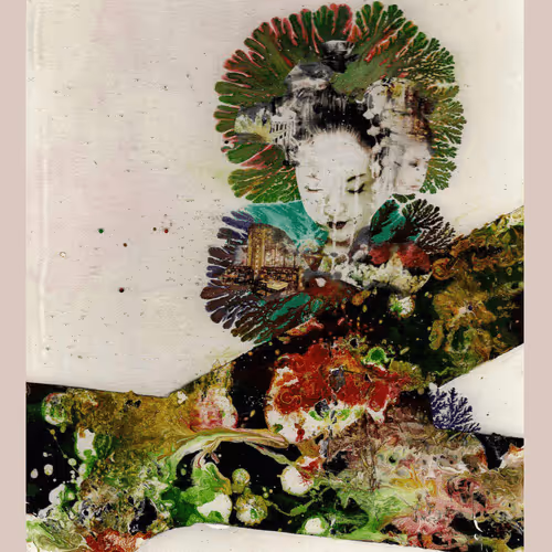 Trooart Com