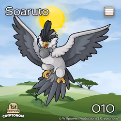 1st Edition Soaruto