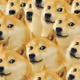 50659039041325866996308814111665032613796943947287822768882313323987179929600