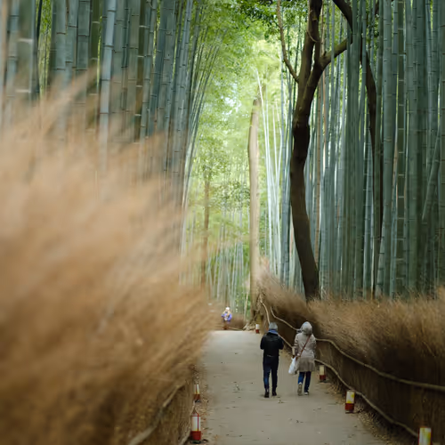 Peace and Arashiyama