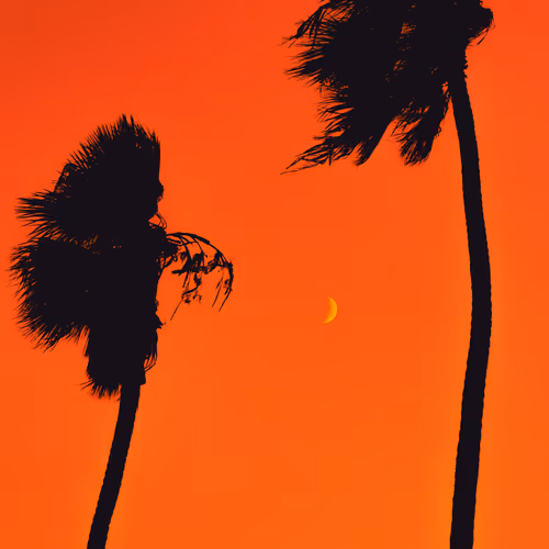Big Lil Moon By Will Nichols