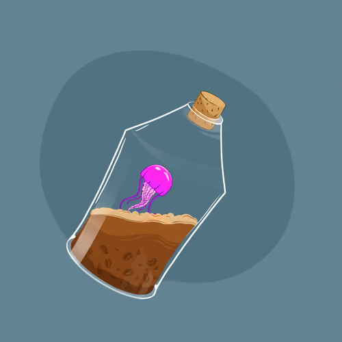 Space Pirate Bottles #1156