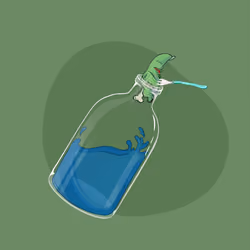Space Pirate Bottles #1198