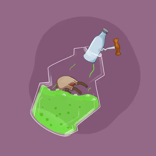 Space Pirate Bottles #672