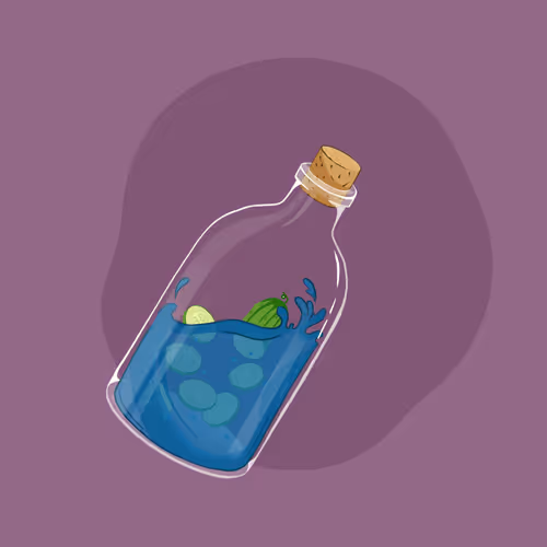Space Pirate Bottles #153
