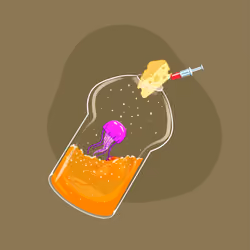 Space Pirate Bottles #331