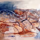 Unstable Landscapes