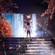 The Window - lRX0zmelMj