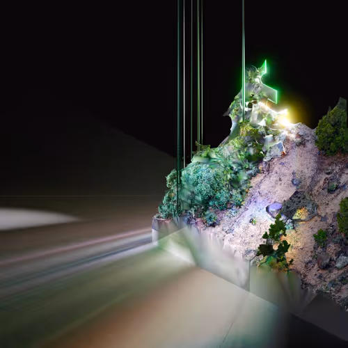 Thin Natures by Chris Coleman