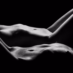 THE MERGE #33/500