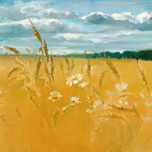 Field of rye