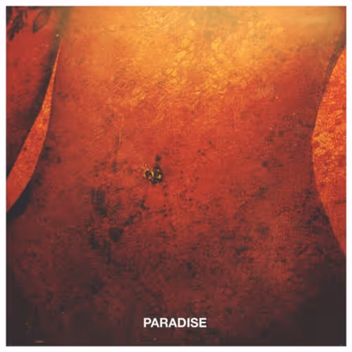 paradise #49