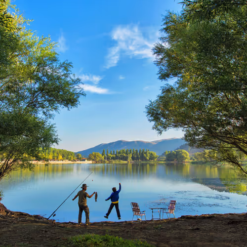 Different colors of life