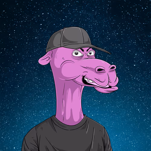 Cryptocamelsclub