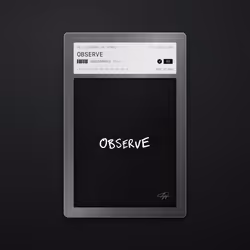 OBSERVE · #1220