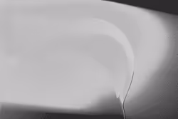 255