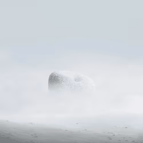 Item #151000100019 Media