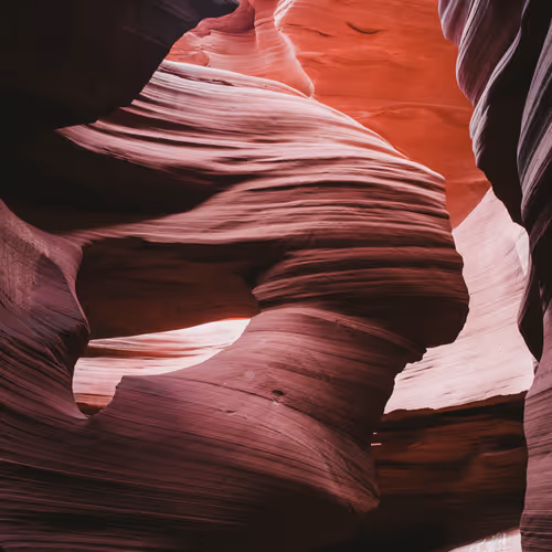 The Earth is Beautiful V2