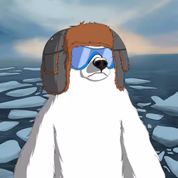 50