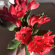 v-day