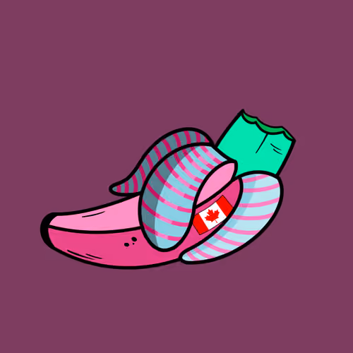 #536