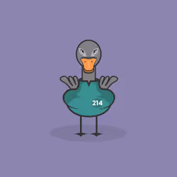 41