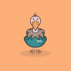 19