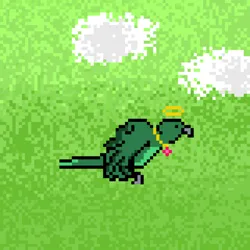 662