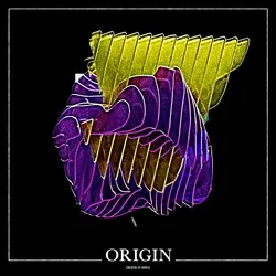 Origin