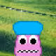 1494