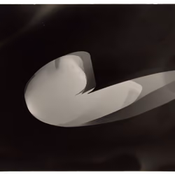 Photogram