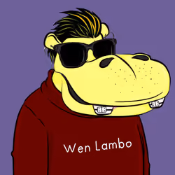 Hype Hippos #8638