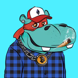 Hype Hippos #3593