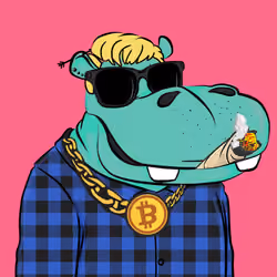 Hype Hippos #7816