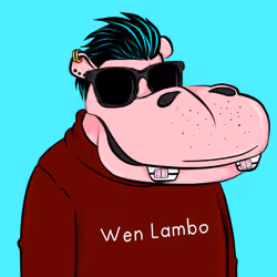 Hype Hippos #3020