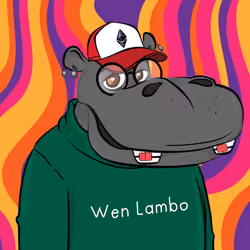 Hype Hippos #8804