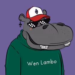 Hype Hippos #2489