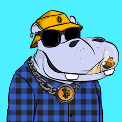 Hype Hippos #1485