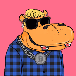 Hype Hippos #6488
