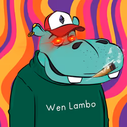 Hype Hippos #1654