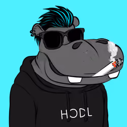 Hype Hippos #9051