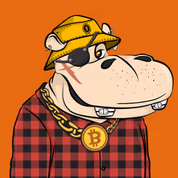 Hype Hippos #7011