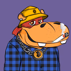 Hype Hippos #9695