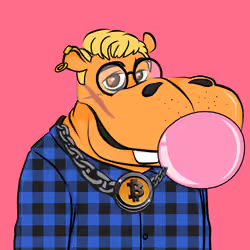 Hype Hippos #8196