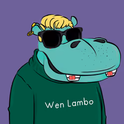Hype Hippos #5203